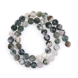 Matte Natural Moss Agate Beads,Round Gemstone Loose Beads - BestBeaded